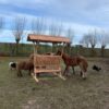 Hooiruif paarden