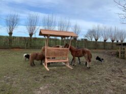 Hooiruif paarden
