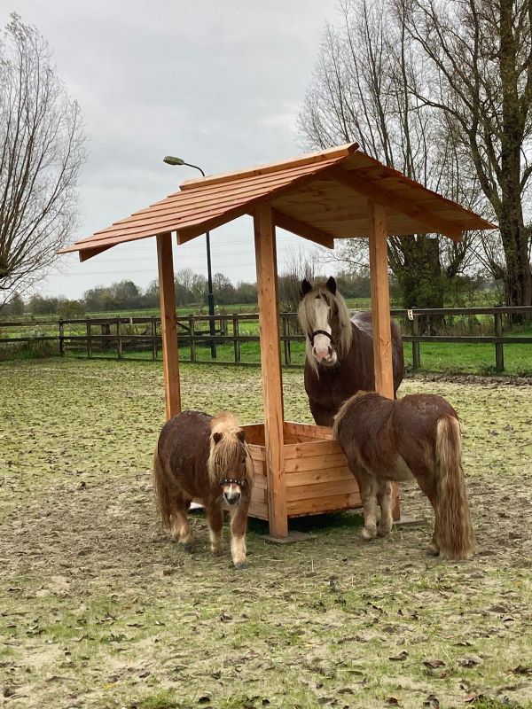 Raar Magistraat Ongelijkheid Hooiruif paarden buiten | Douglas houten hooiruif met dak